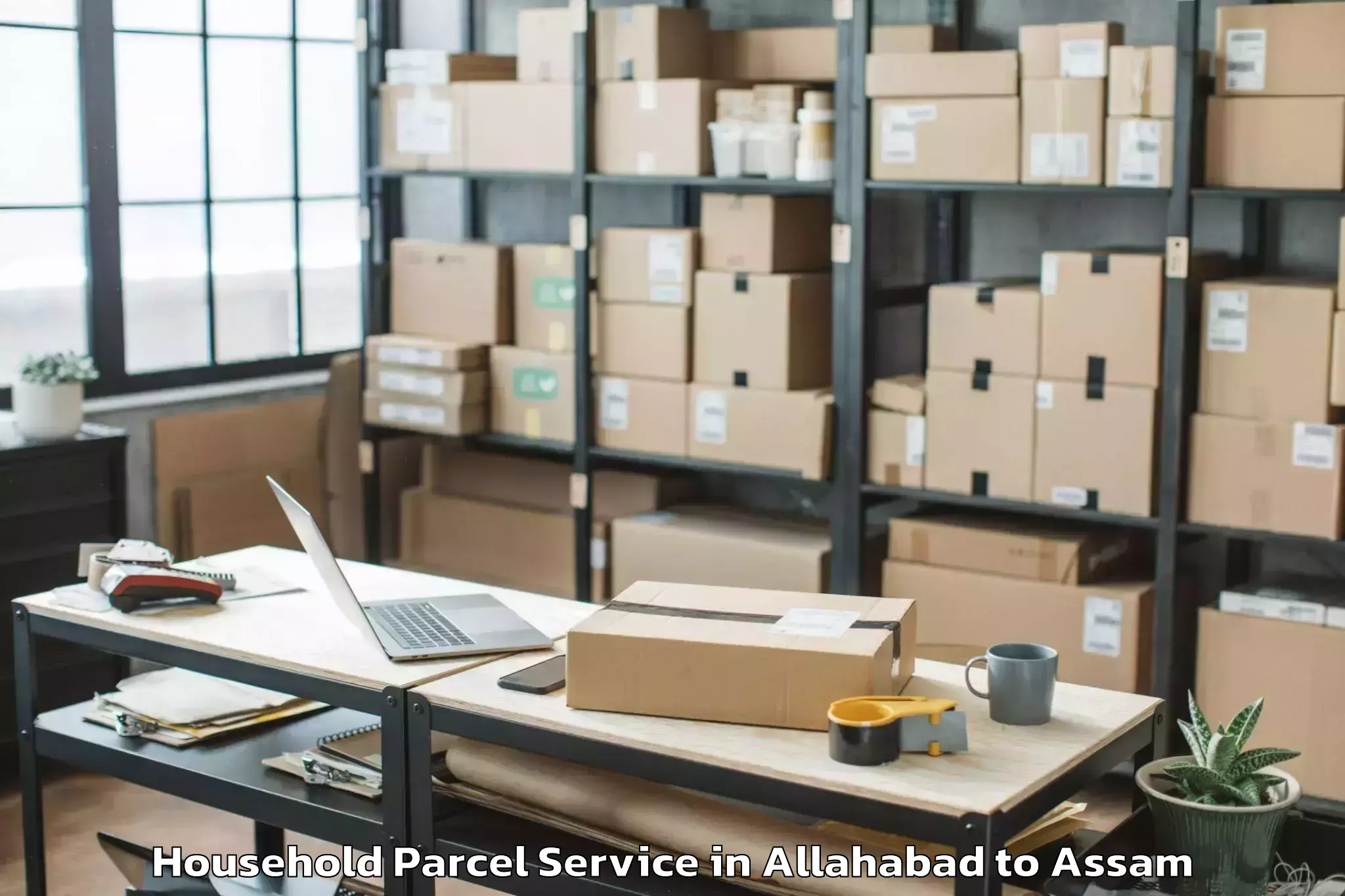 Reliable Allahabad to Dhakuakhana Household Parcel